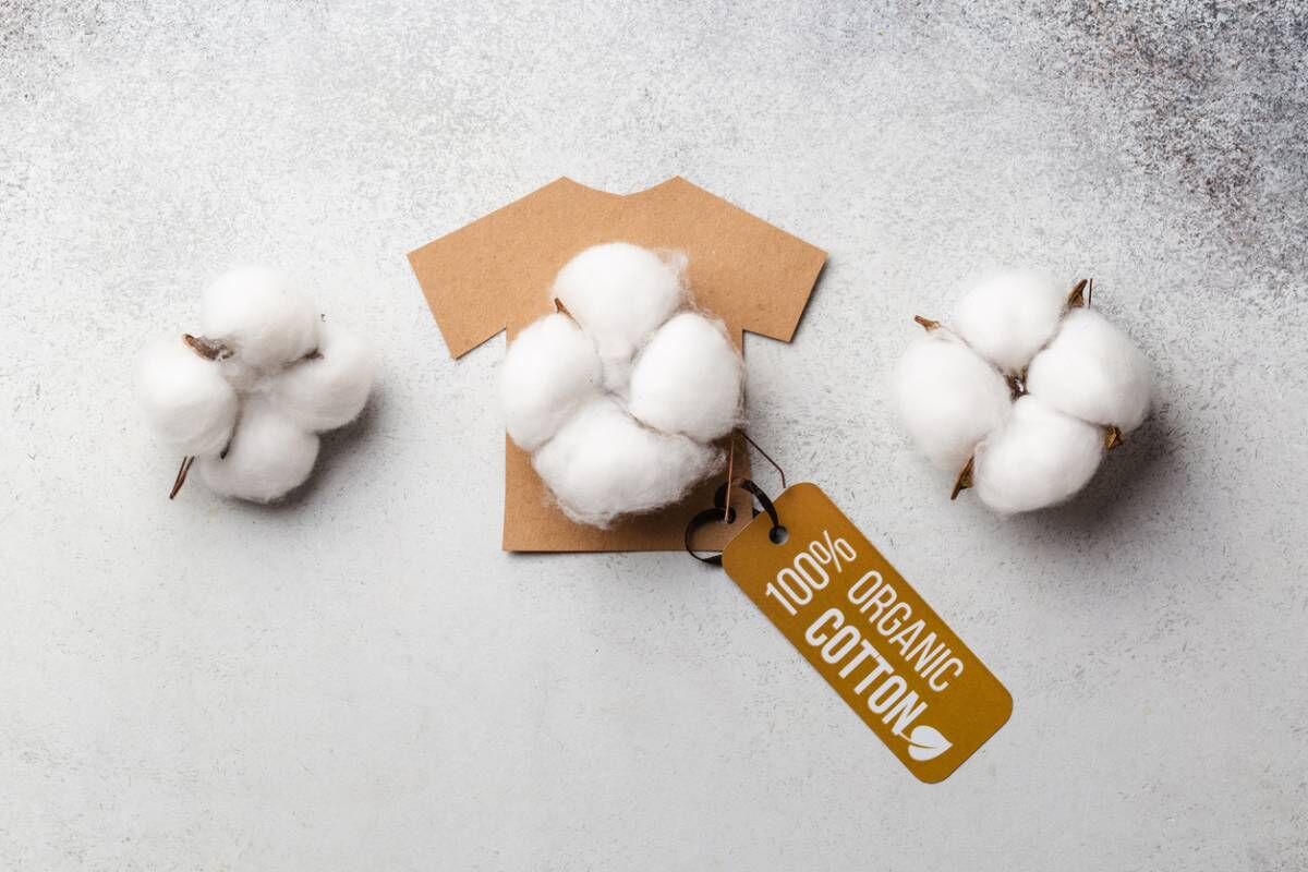 Allergies ? Passez au coton bio