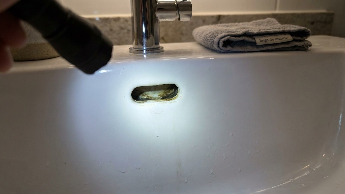 Ces moucherons qui tournaient au-dessus de mon lavabo chaque matin m'ont alarmé : quand j'ai éclairé le petit trou du haut...