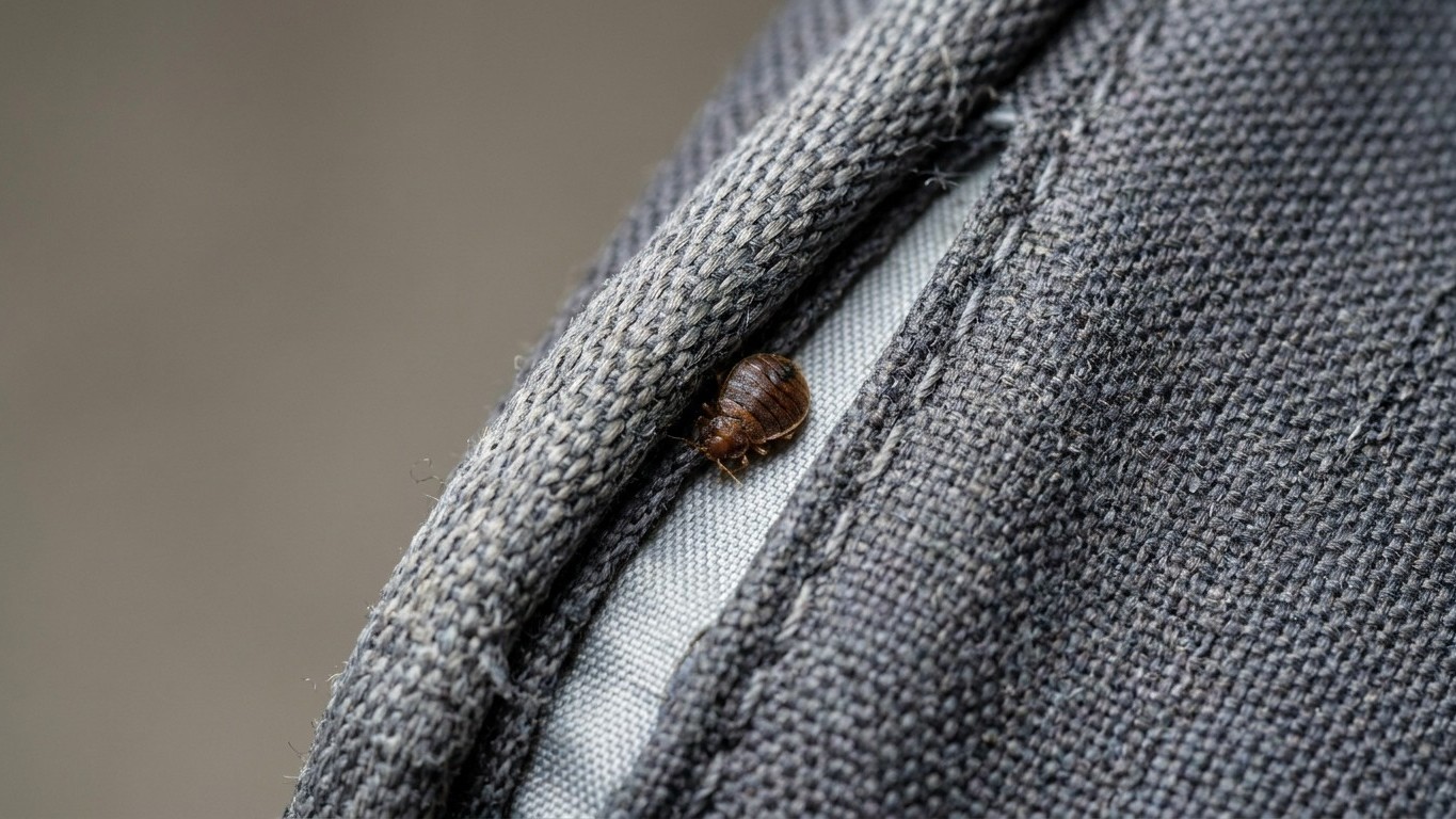 J'ai posé ma valise d'hôtel dans le dressing en rentrant juste pour la vider le lendemain : trois semaines plus tard, le t...
