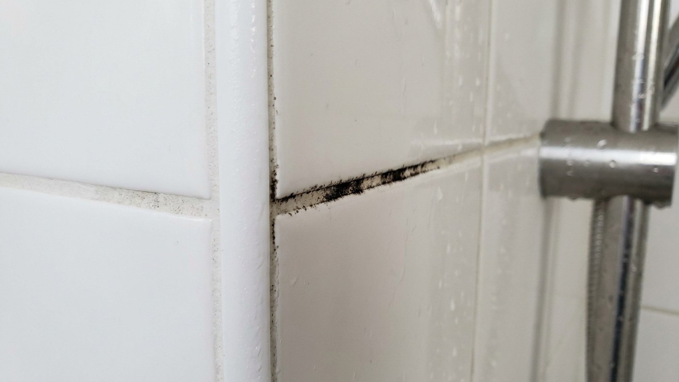 Les plombiers n'en peuvent plus de le répéter : ce joint de douche qui noircit toujours au même endroit ne se refait pas, ...